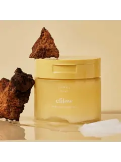 efilowChagaMushroomBiomePoreClearingPad190g70pads 3.webp